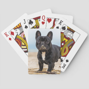 French Bulldog Playing in the Sand Playing Cards
