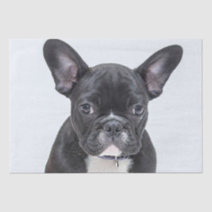 French Bulldog Portrait Tissue Paper
