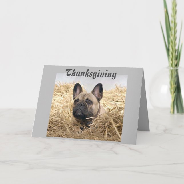 French Bulldog postcard (Front)