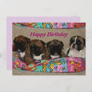 French Bulldog postcard