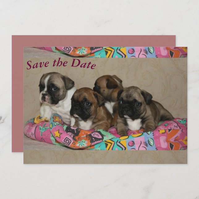 French Bulldog postcard (Front/Back)