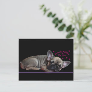 French bulldog  postcard