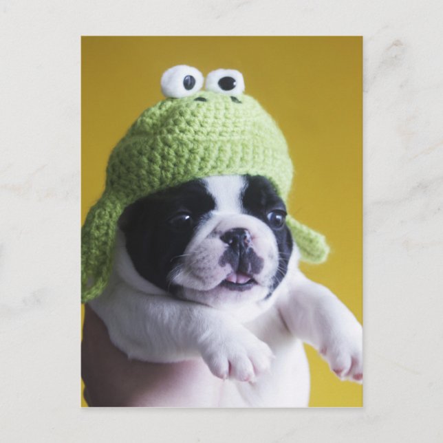 French Bulldog Postcard (Front)