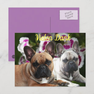 French Bulldog postcard