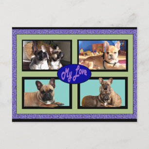 French Bulldog postcard