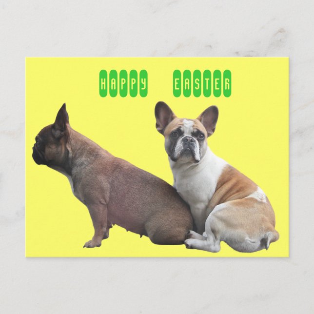 French Bulldog postcard (Front)