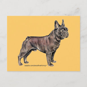 French Bulldog! Postcard