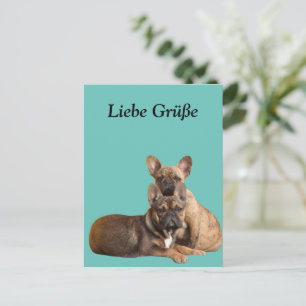 French Bulldog postcard