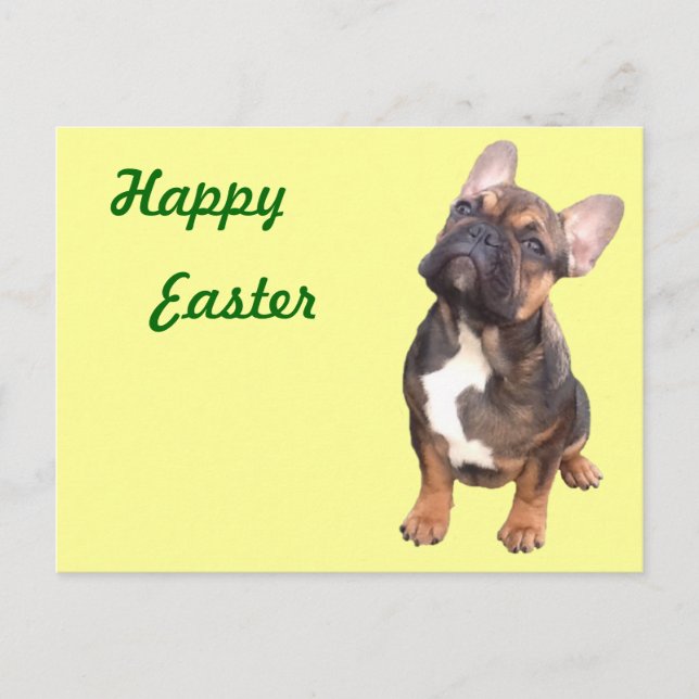 French Bulldog postcard (Front)