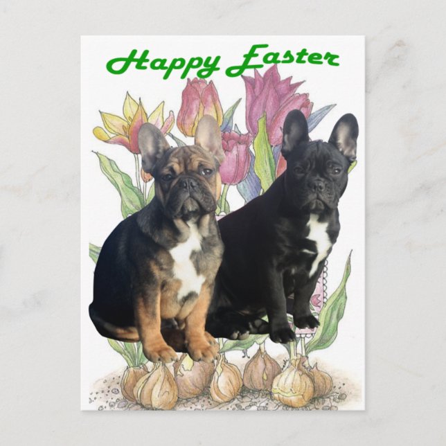 French Bulldog Postcard Easter (Front)