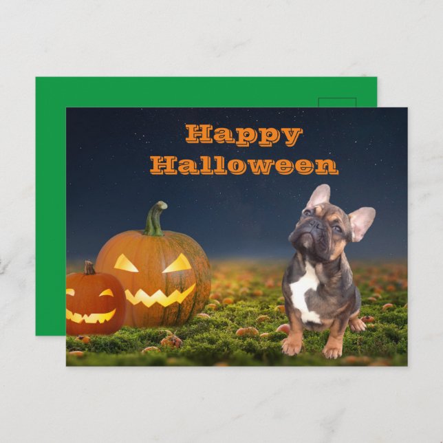 French Bulldog Pumpkin French Bulldog Postcard (Front/Back)