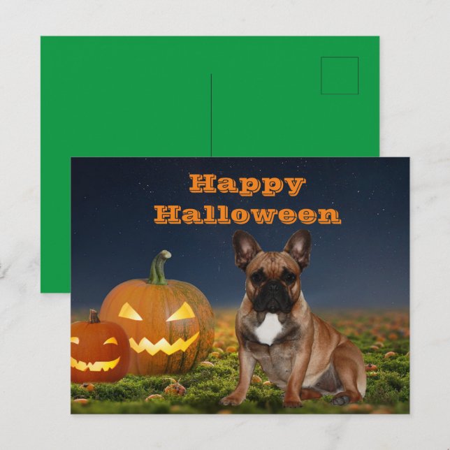 French Bulldog Pumpkin French Bulldog Postcard (Front/Back)