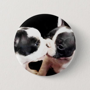 French bulldog puppies 6 cm round badge