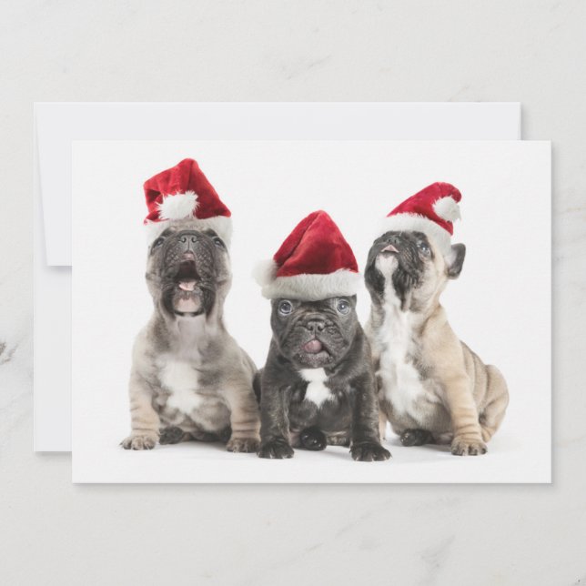 French bulldog puppies sing wearing Santa hats Holiday Card (Front)