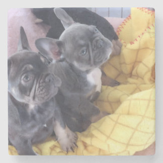 French Bulldog Puppies Stone Coaster