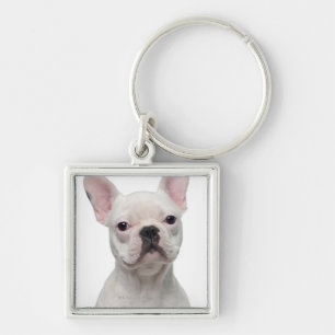 French Bulldog Puppy (5 months old) Key Ring