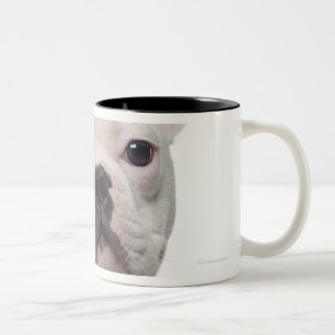 French Bulldog Puppy (5 months old) Two-Tone Coffee Mug