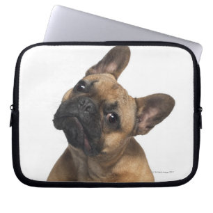 French Bulldog puppy (7 months old) Laptop Sleeve