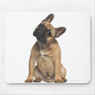 French Bulldog puppy (7 months old) Mouse Mat