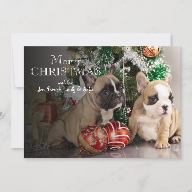 French bulldog puppy and Christmas gifts Holiday Card (Front)