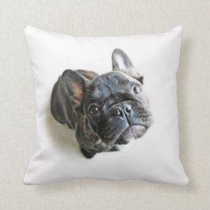 French Bulldog Puppy Cushion
