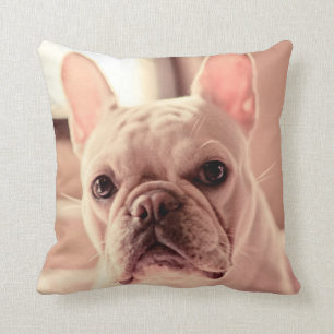French Bulldog Puppy Cushion