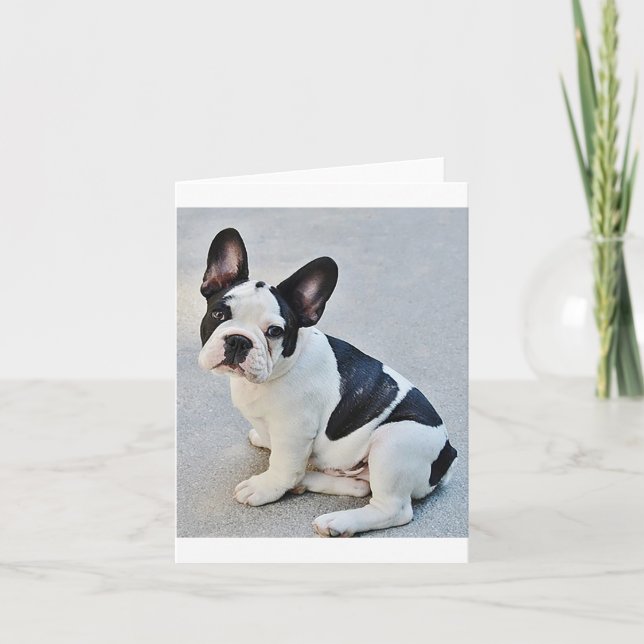 French Bulldog Puppy Dog Blank Note Card (Front)