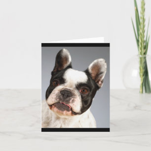 French Bulldog Puppy Dog Blank Note Card