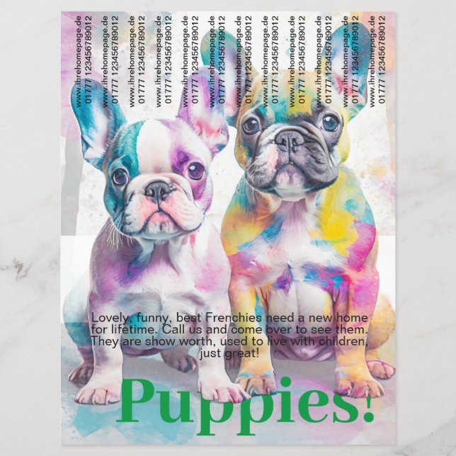 French Bulldog Puppy Flyer  (Front)