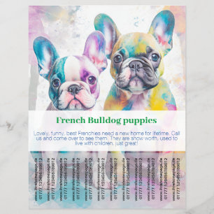 French Bulldog Puppy Flyer