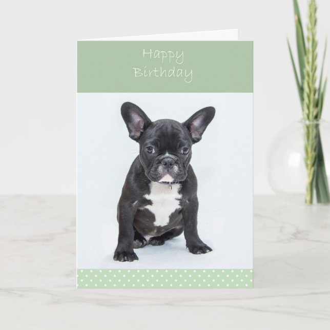 French Bulldog Puppy Happy Birthday Greeting Card (Front)