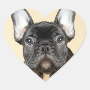 French Bulldog Puppy Heart Sticker