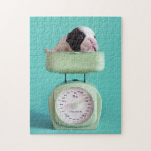 French Bulldog Puppy Jigsaw Puzzle