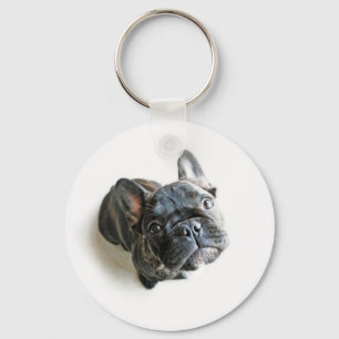French Bulldog Puppy Key Ring