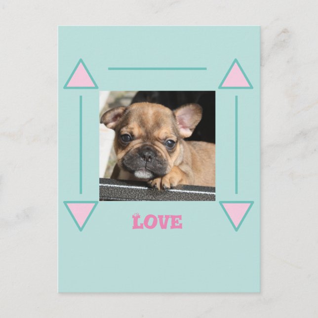 French Bulldog Puppy Love Postcard (Front)
