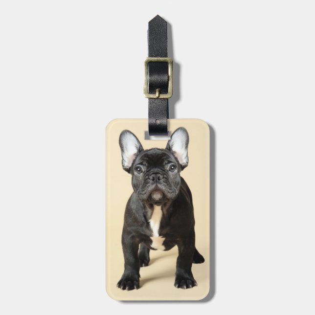 French Bulldog Puppy Luggage Tag (Front Vertical)