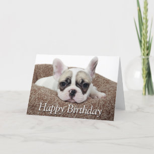 French Bulldog Puppy Lying In A Dog Bed Card