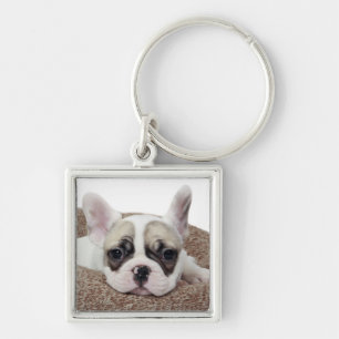 French Bulldog Puppy Lying In A Dog Bed Key Ring
