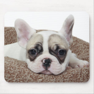 French Bulldog Puppy Lying In A Dog Bed Mouse Mat