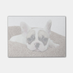 French Bulldog Puppy Lying In A Dog Bed Post-it Notes
