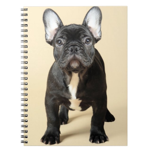 French Bulldog Puppy Notebook (Front)