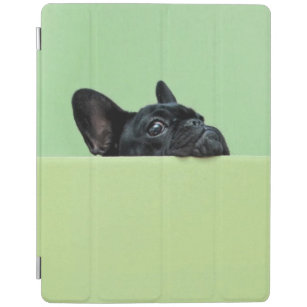 French Bulldog Puppy Peering Over Wall iPad Smart Cover
