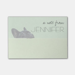 French Bulldog Puppy Peering Over Wall Post-it Notes