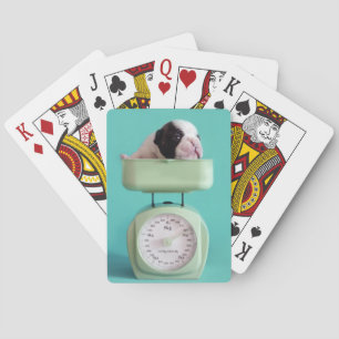 French Bulldog Puppy Playing Cards