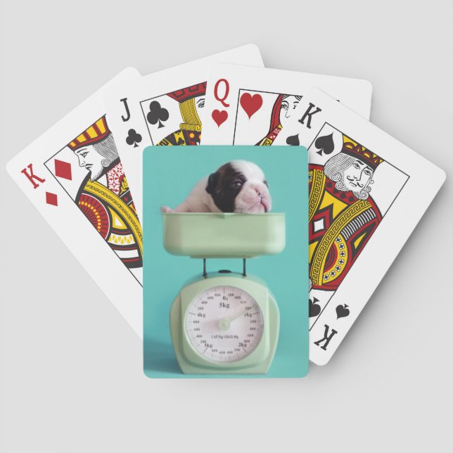 French Bulldog Puppy Playing Cards (Back)