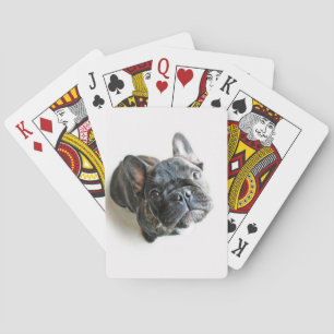 French Bulldog Puppy Playing Cards