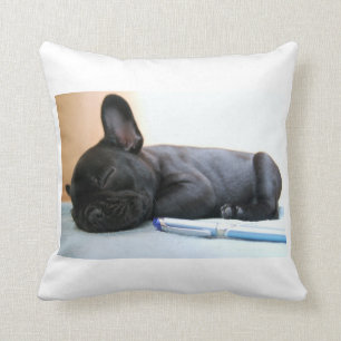 french bulldog puppy.png cushion