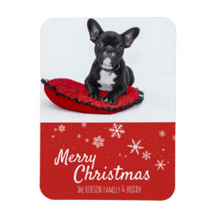 French Bulldog Puppy Red Photo Christmas Custom Magnet
