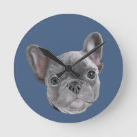 French Bulldog Puppy
