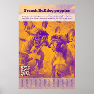 French Bulldog Puppy Selling Tear Off Poster